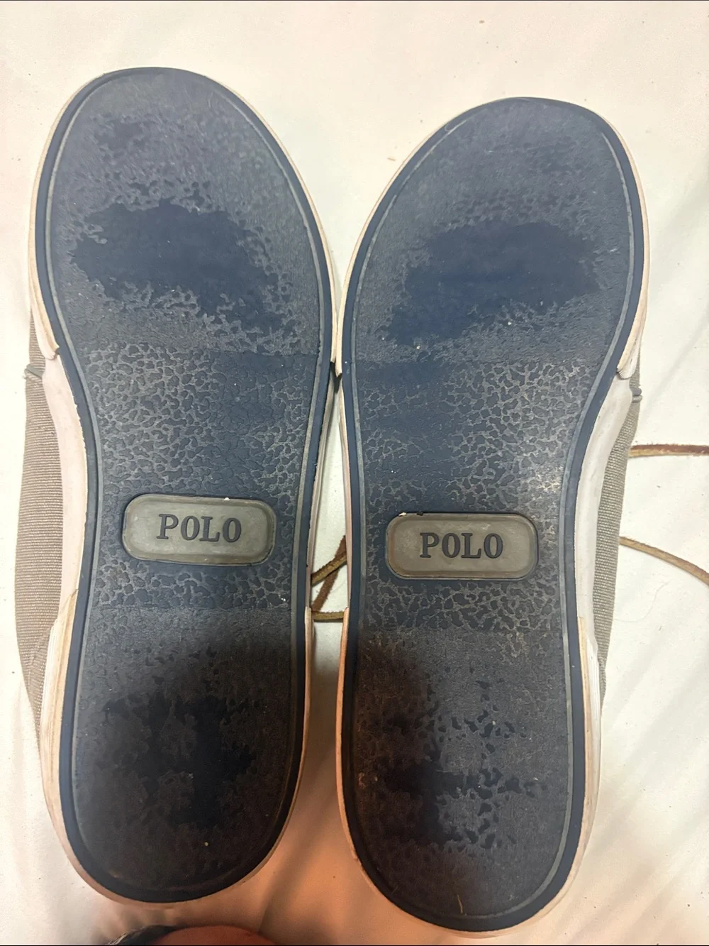 Polo by Ralph Lauren Gray Canvas Low-Top Lace-Up Sneakers